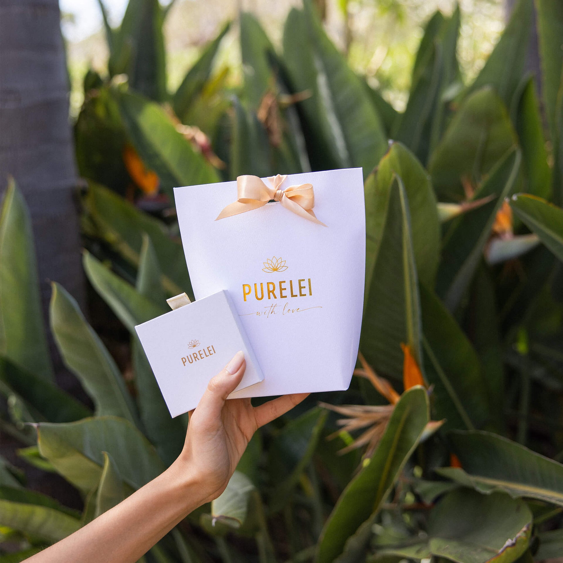 Weiße PURELEI Geschenkverpackung mit goldener Prägung und Schleife, elegant vor tropischem Blattwerk gehalten.