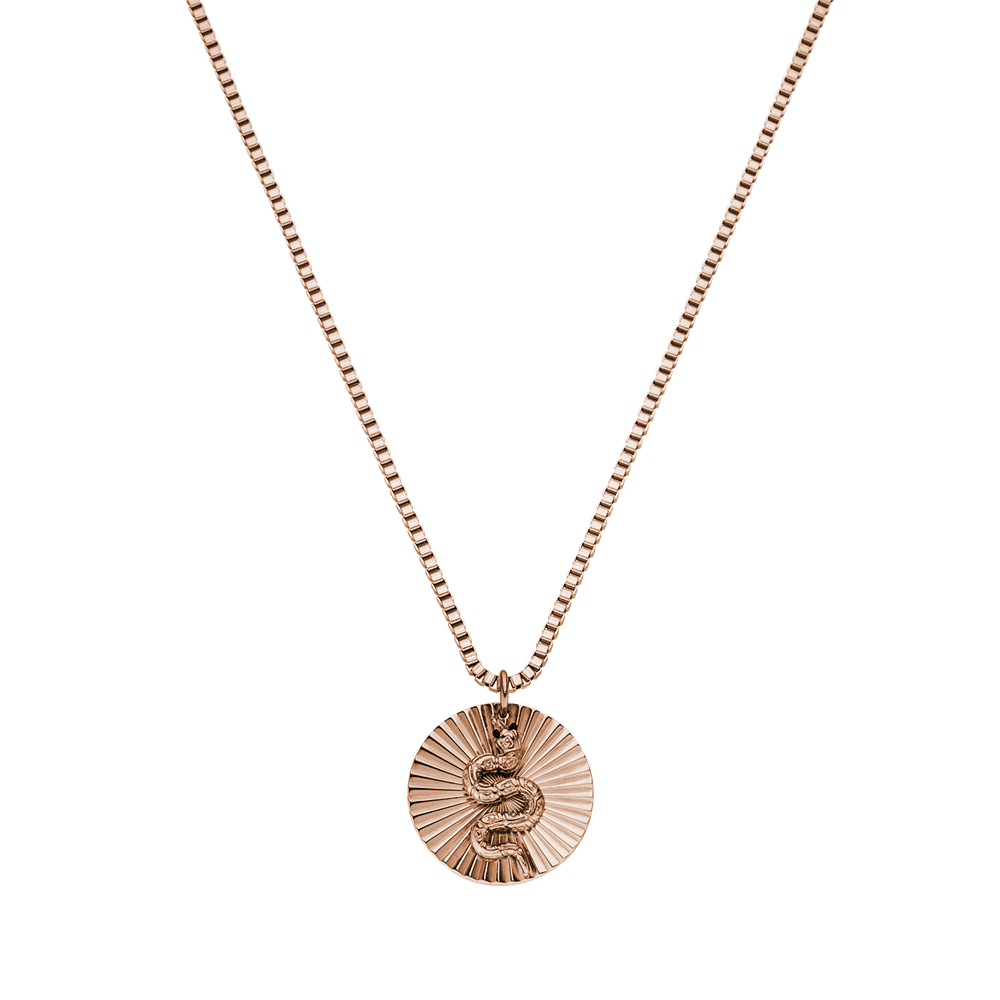 Snake Coin Kette von PURELEI in Roségold mit geprägtem Schlangensymbol, elegant und nickelfrei, femininer Island-Spirit.