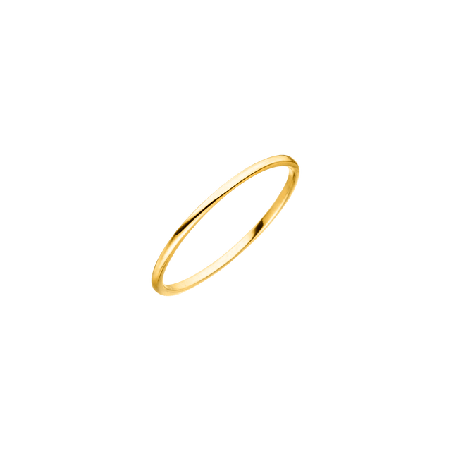 Schlichter Lihini Ring aus 18K vergoldetem Edelstahl von PURELEI, elegant und minimalistisch gestaltet.