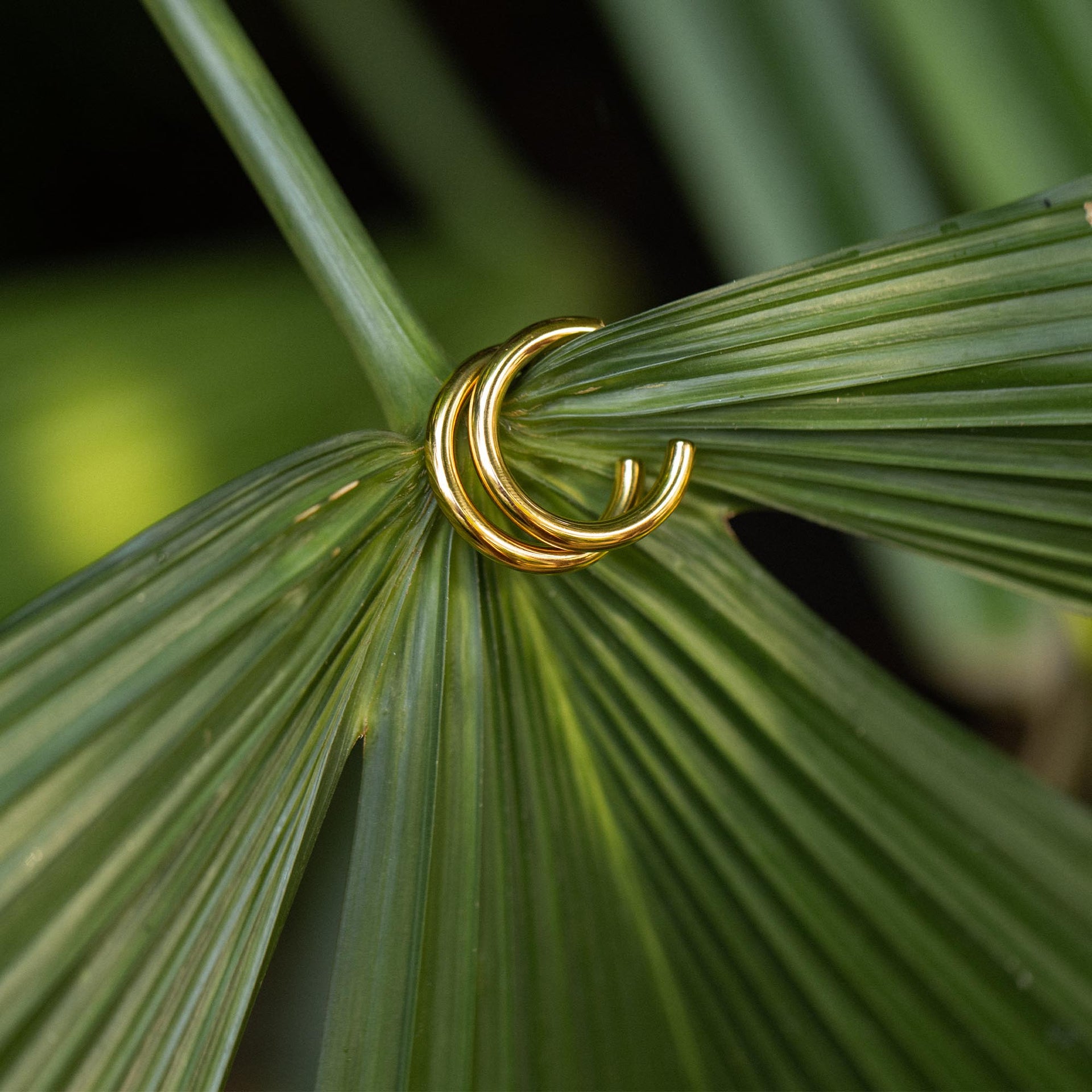 PURELEI Kumu O Creolen aus 18K vergoldetem Edelstahl, minimalistisch auf tropischem Palmblatt inszeniert.