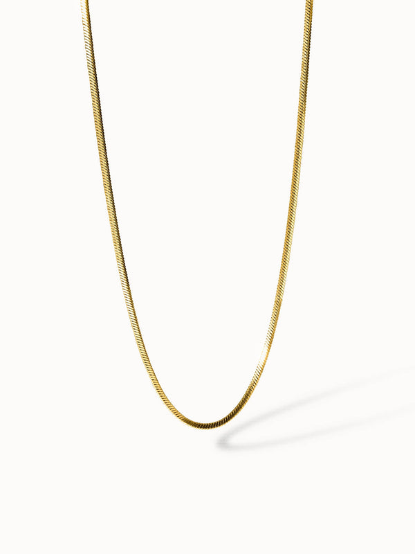 {"color":"Gold", "type":"lead_image"}
