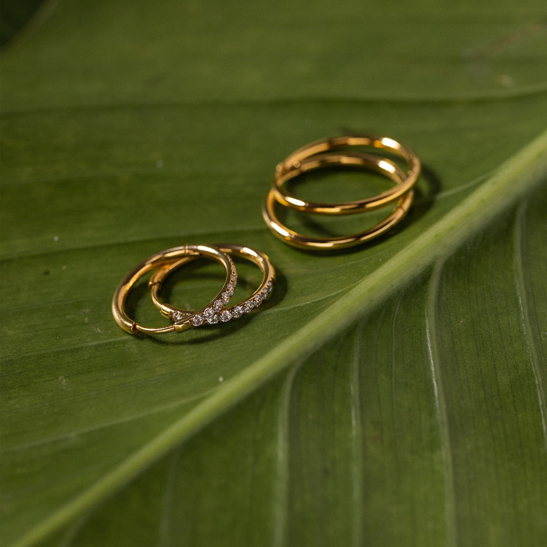 Goldene Ringe von PURELEI auf grünem Blatt, elegant und modern im Design.