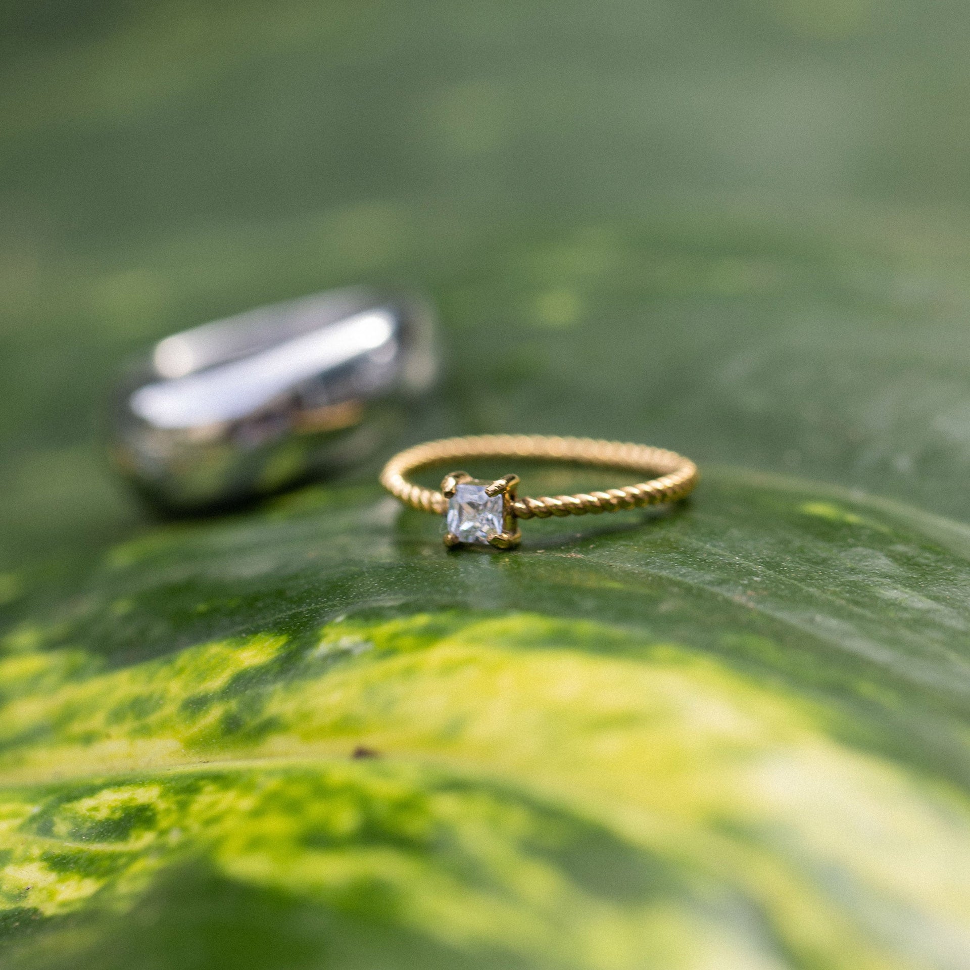 Precious Fine Ring von PURELEI, gedrehtes 18K Goldband mit weißem Zirkonia auf natürlichem Blatt, fein und elegant