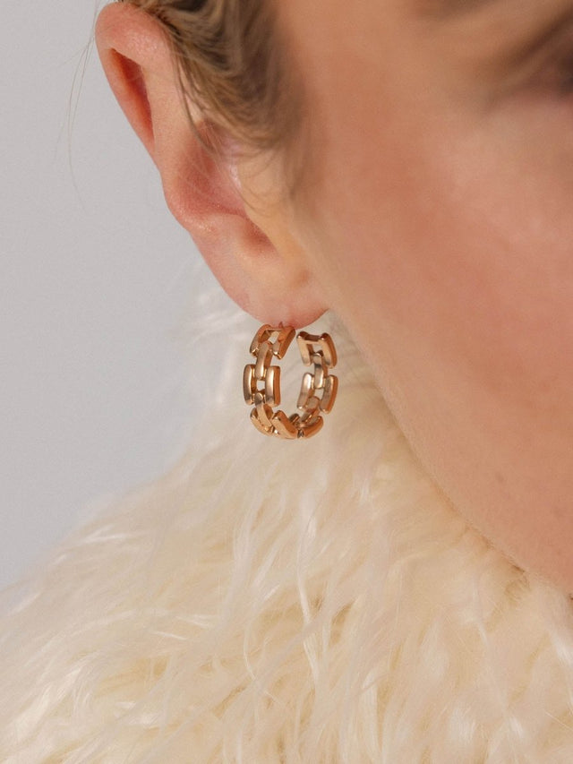 Bright Jewelry Box Earrings - INT PURELEI