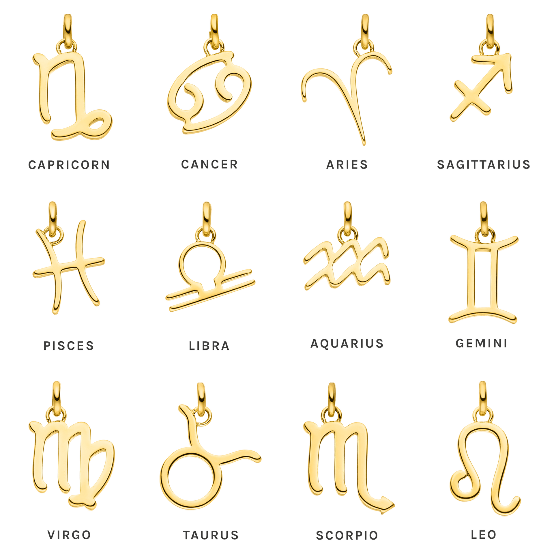 Wassermann Zodiac Charm aus 18K Gold, filigran und nickelfrei, symbolisiert Sternzeichen in elegantem PURELEI-Design.